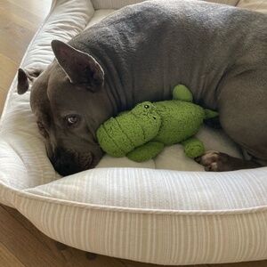 Meet your Posher, Nina